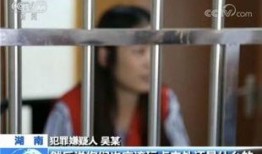 东北二嫂车震在线观看,揭秘网络热传视频背后的真相